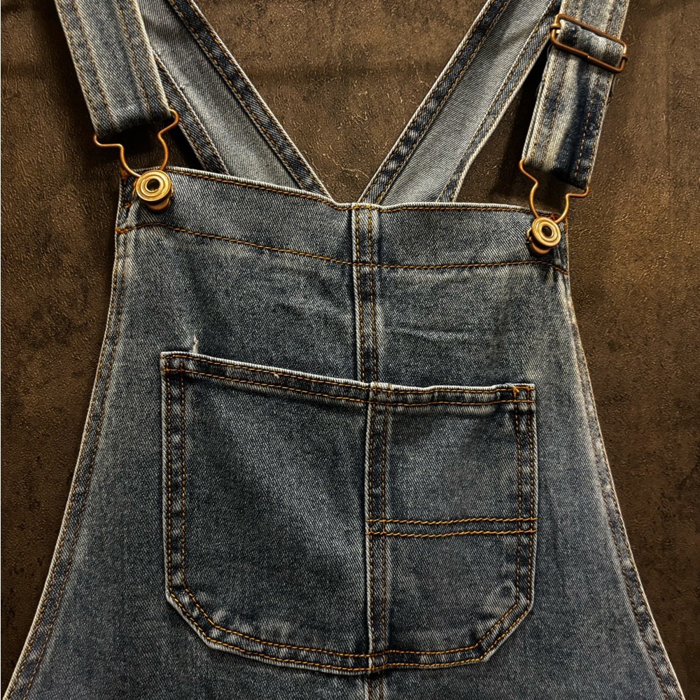 Celebrity Pink Blue Denim Overalls